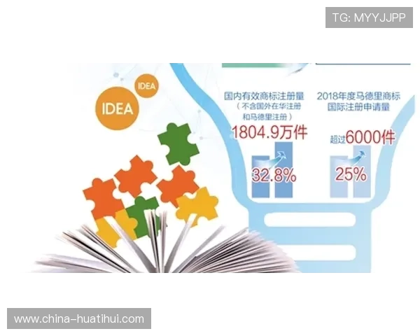 体育赛事知识产权保护强化 维权效率显著提升